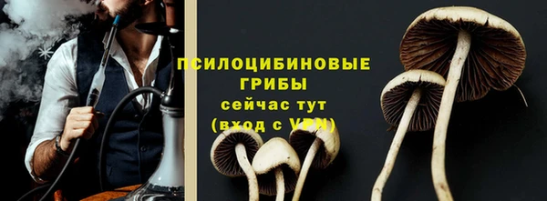 тгк Алексин