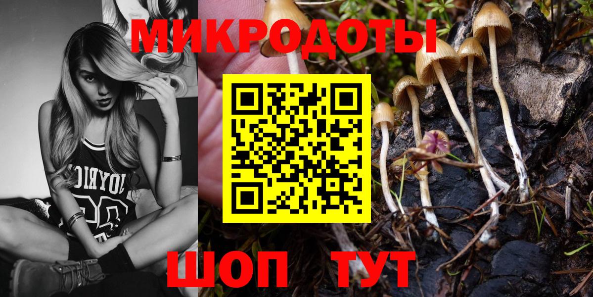 ГАШ Лесосибирск