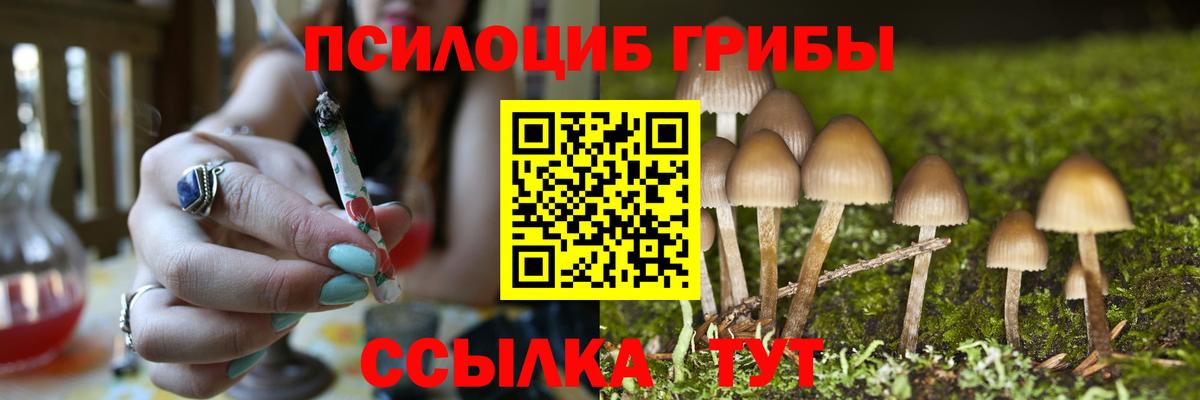 Лесосибирск  Псилоцибиновые грибы прущие грибы  Галлюциногенные грибы Psilocybine cubensis  Вход с VPN 
